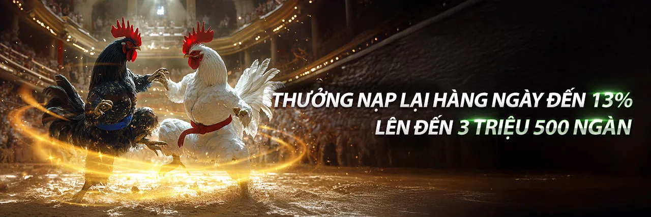 Sân chơi đá gà trực tuyến C54 với C54 Giftcode 2026